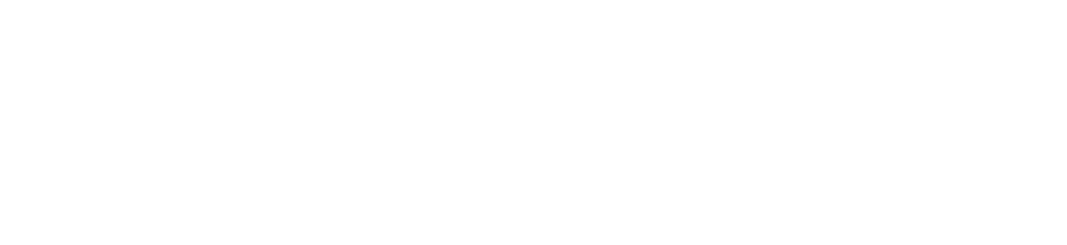 AraxLab Logo